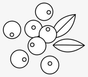 Jpg Transparent Berries Clipart Outline Free On Dumielauxepices - Clip Art