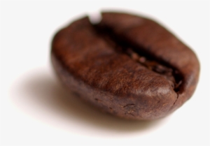 Coffee Bean Transparent - Single Coffee Bean Png
