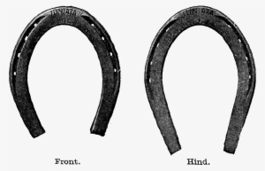horse shoe free horseshoe clip art images clipartfest - horseshoe