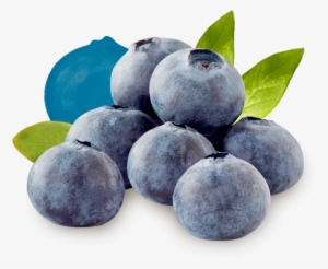 Ready For Recipe Inspiration - Driscoll's Blueberry