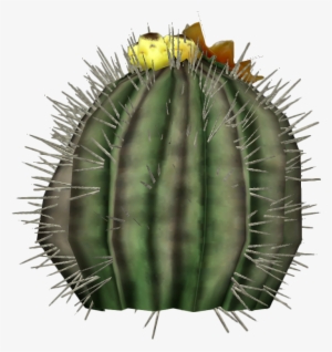 Barrel Cactus Plant - Echinocactus Platyacanthus Png