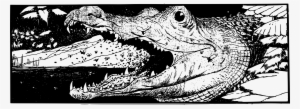 This Free Icons Png Design Of Alligator Head
