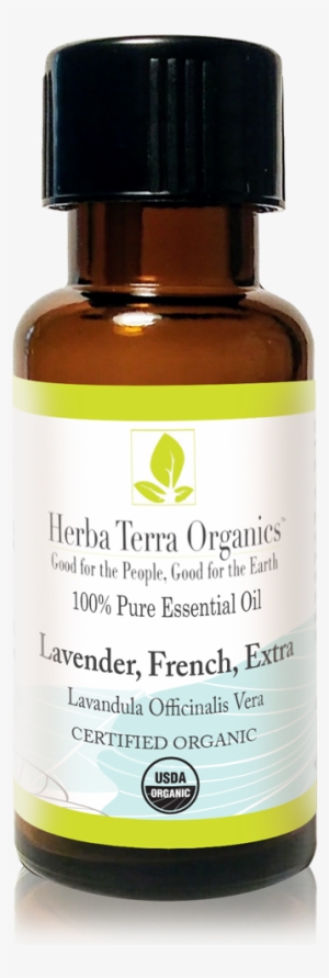 Usda Certified Organic Extra French Lavender Essential - Essential Oil
