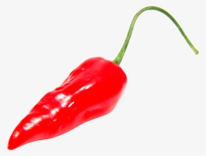 Yükle Chili Con Carne Bell Pepper Chili Pepper Portable - Chilli Pepper Png
