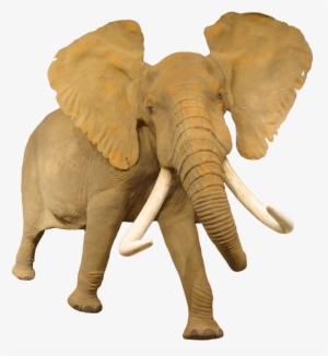 African Elephant Png - African Elephant