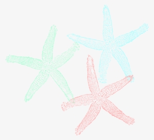 Original Png Clip Art File Starfish Svg Images Downloading