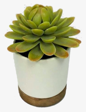 February 13, - Artificial Plant In White Pot Small - Threshold