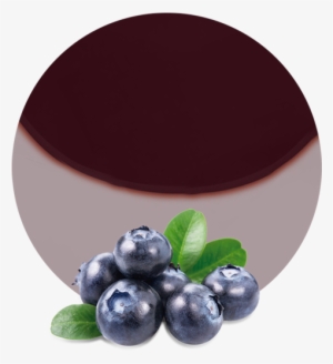 Blueberry Filling