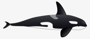 Orca Clipart Cute Sea Creature - Orca Clipart