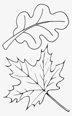 Index Of /wp - Autumn Coloring Page Leaves