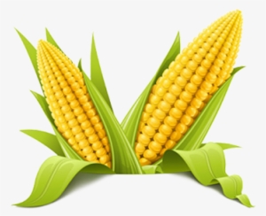 Corn-png - Corn Png