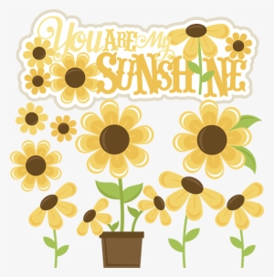 You Are My Sunshine Svg Files Sunflower Svg Cut File - You Are My Sunshine Border