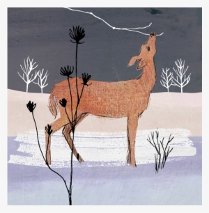 Winter Woodland Deer - Deer