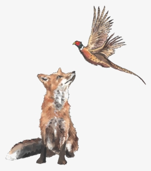 Pheaseant And Fox - Fox And Pheasant