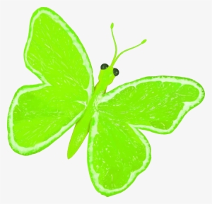 This Free Icons Png Design Of Citrus Fruit Butterfly