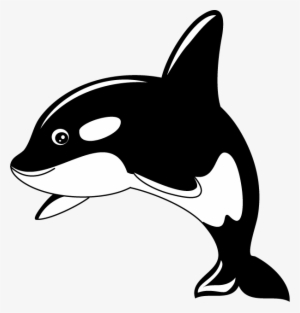 Cartoon Whale Png Free Download Clip Art Free Clip - Cute Killer Whale Clip Art