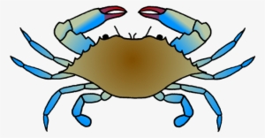 Blue Crab Galleries Panda Images - Blue Crab Drawing Easy