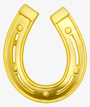 Big Horseshoe Pin , Gold - Gold