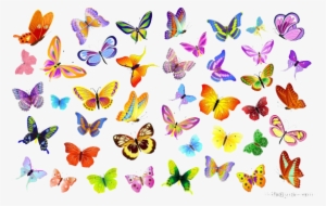 Butterflies Vector Png File - Butterflies Vector