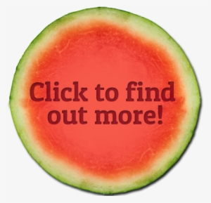 Fresh Farm Fun At Mark's Melon Patch - Watermelon Grown In Georgia