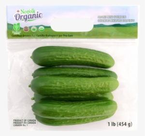 Cumcumbers In Bag - Mini Cucumbers Bag