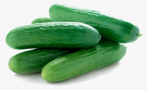 cucumbers - mini cucumbers