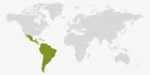 Latin America And Caribbean Map - Latin America And Caribbean On World Map