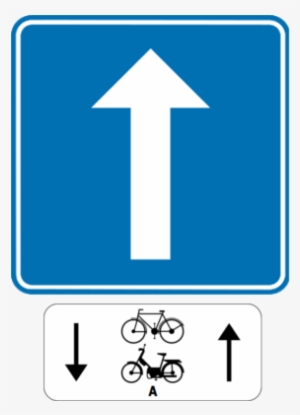 Road With One-way Traffic, Except For Cyclists And - Verkeersborden Fietsers
