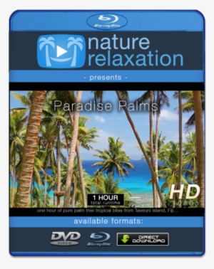 "paradise Palms" Tropical Fiji Static Nature Video - 4k Resolution