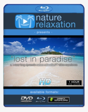 "lost In Paradise - 4k Resolution