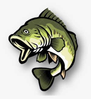 Pastedgraphic-2 - Bass Clipart