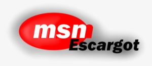Msn Escargot Logo 1998 65 Kb - Logo