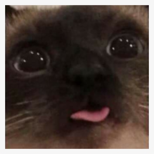 Blep Discord Emoji - Cat