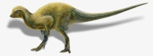 Dino - Tyrannosaurus