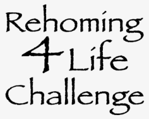 Rehoming 4 Life Logo - Disaster Response Team Church Of Christ