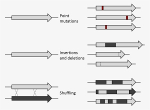 De Mutations - Mutation