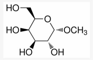1 O Methyl Alpha D Galactopyranoside - Methyl Bd Glucopyranoside
