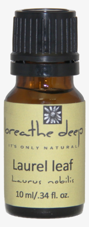 breathe deep laurel leaf essential oil - roman chamomile