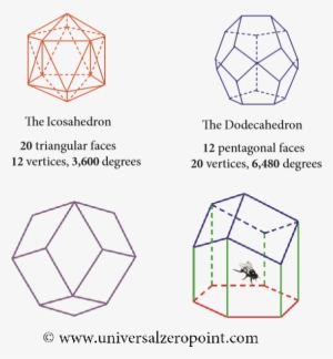 The Icosahedron Can Be Placed Inside The Dodecahedron - Diagram