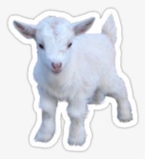 Goat Sticker By Lunarfawn - Goat Transparent