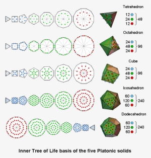 Inner Tree Of Life Basis Of The 5 Platonic Solids - Circle