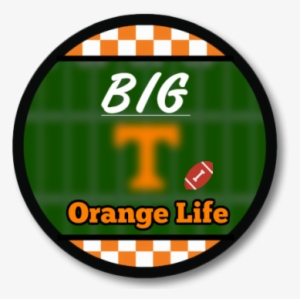 Big Orange Life - Big Orange