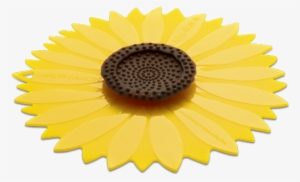 Charles Viancin 1104eu Silicone Sunflower Lid Suitable