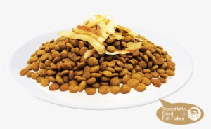 9 Health Benefits - Kit Cat Cat Food Fish Medley