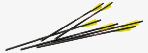 Firebolt Carbon Arrows Jpg - Excalibur Quill 16.5" Carbon Arrows