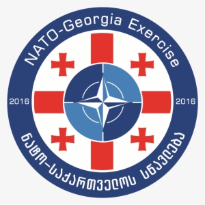 Following The 2008 Bucharest Summit Declaration, A - Dream League Soccer 2018 Logo Georgia