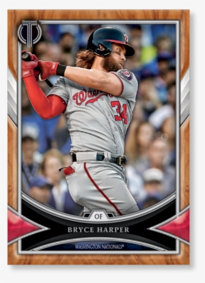 Bryce Harper - Baseball