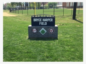 Bryce Harper Dedication