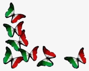 Mariposas Vivamexico Mexico Tricolor - Uae Flag Back Ground