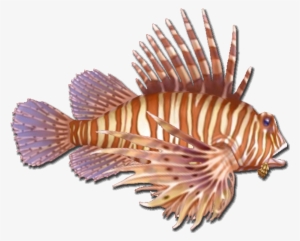 Fish 10 - Lionfish Transparent